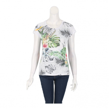Тricou femei Koala Bay